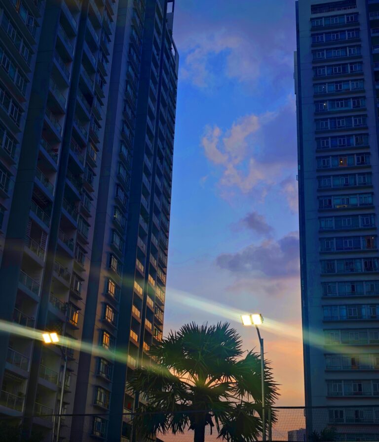 Nội khu dự án